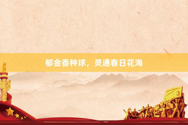 郁金香种球，灵通春日花海